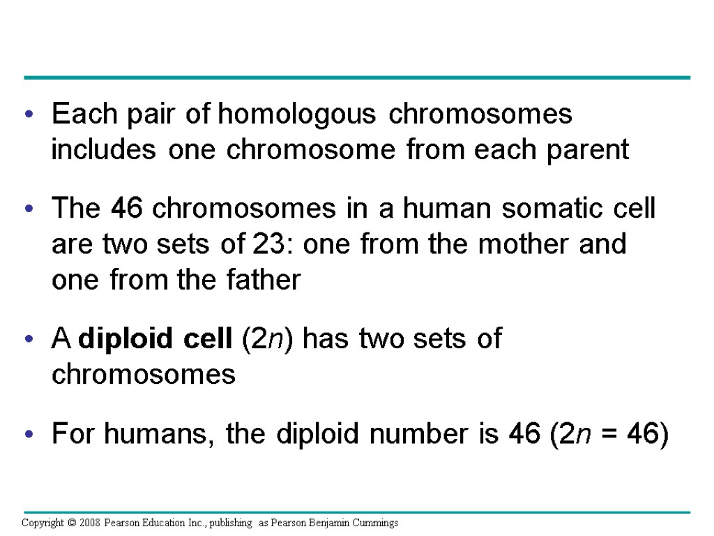 Each pair of homologous chromosomes includes one chromosome from each parent The 46 chromosomes